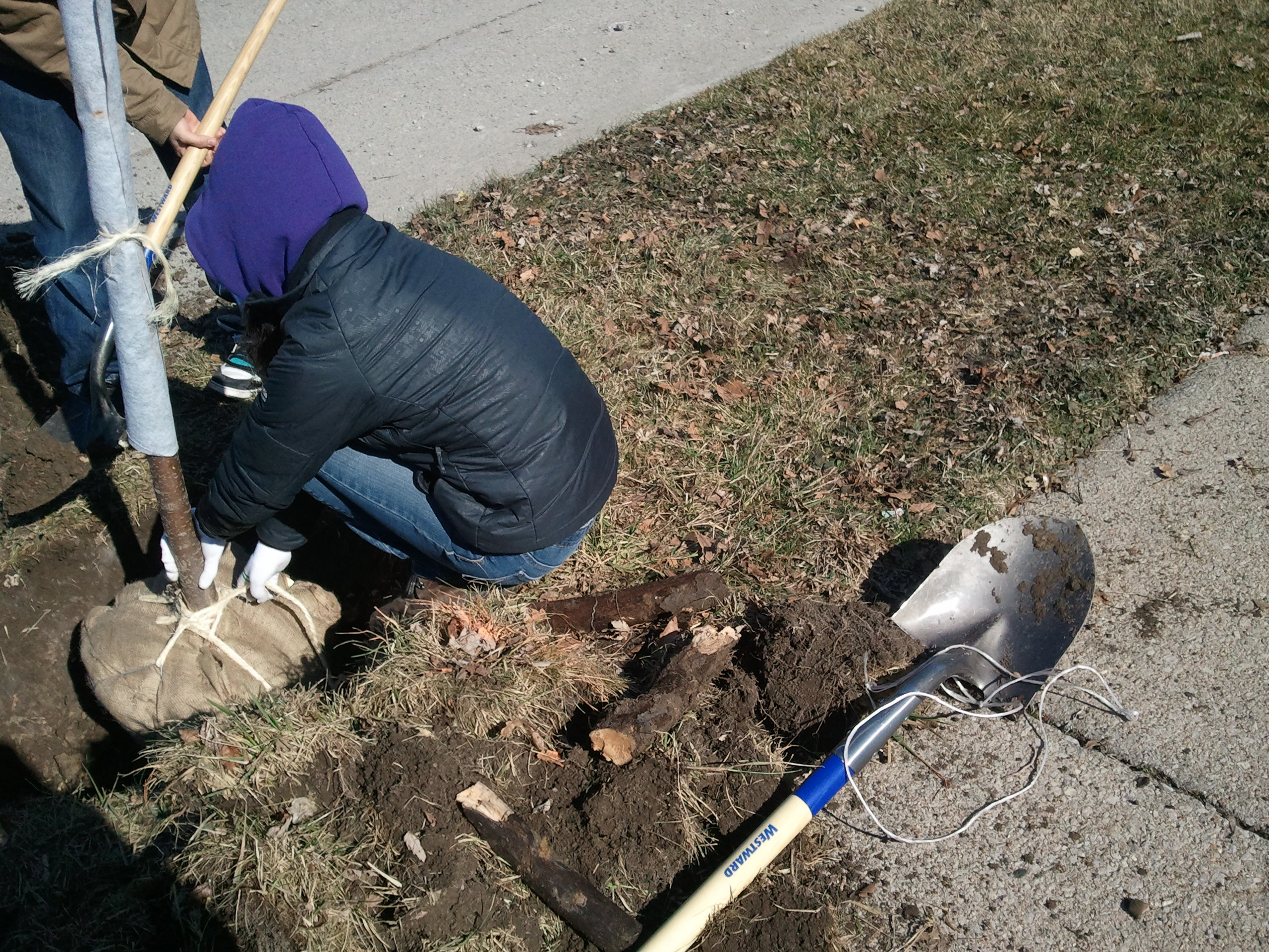 2011-03-26 10.44.29.jpg