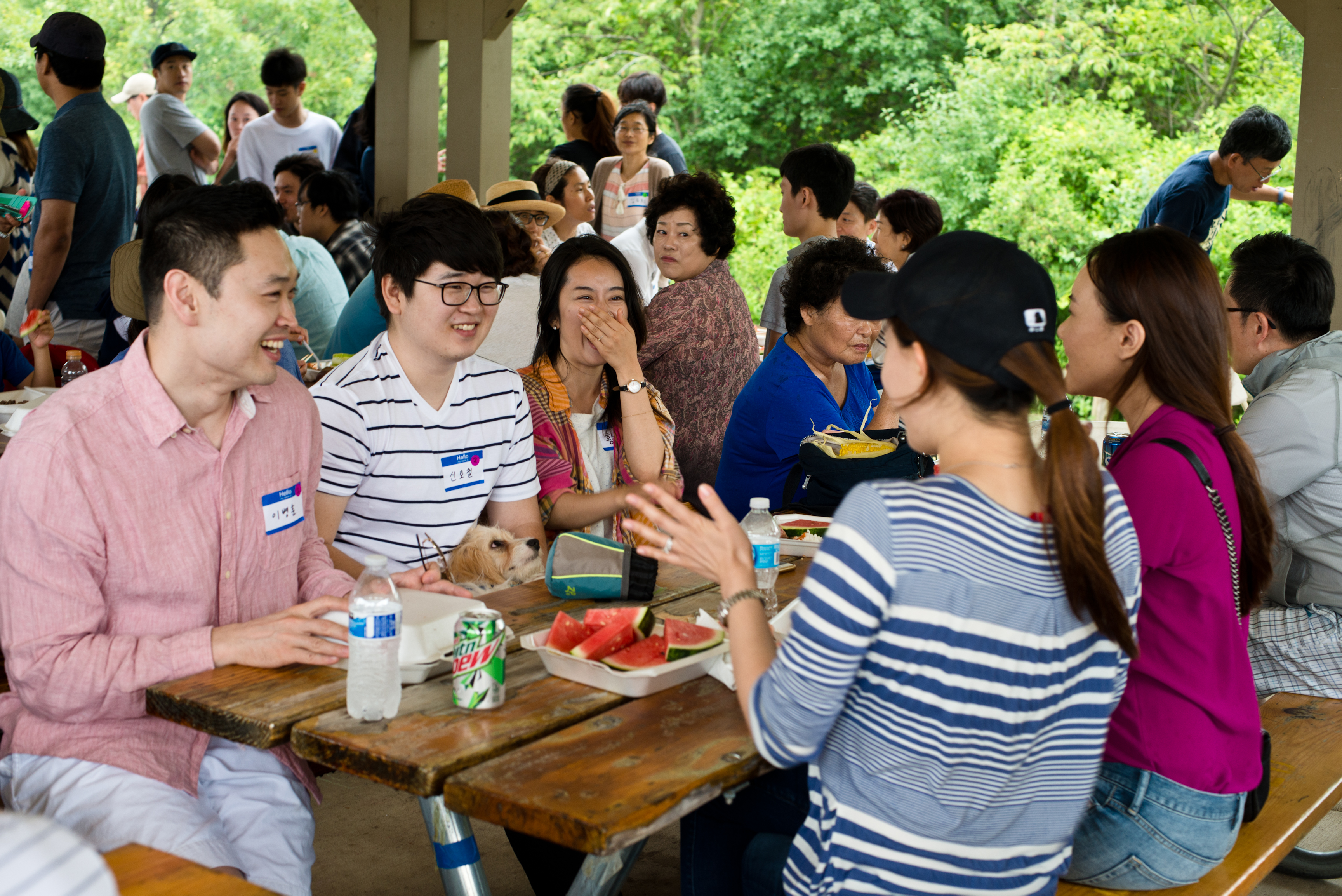 DSC_8301 - 복사본.jpg